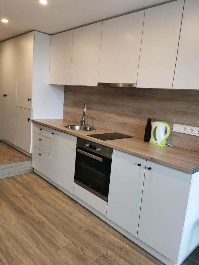 Lofto Tipo 2 Kambariu Butas Apartment Kaunas Luaran gambar