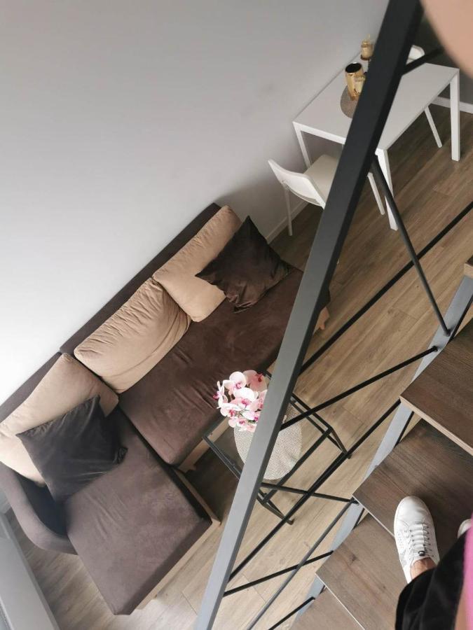 Lofto Tipo 2 Kambariu Butas Apartment Kaunas Luaran gambar